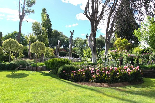 Les meilleurs matériaux pour un aménagement de jardin écologique