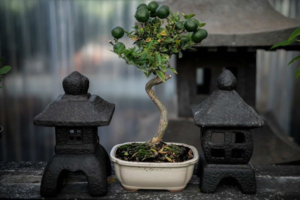 Comment créer une ambiance zen dans son intérieur ?