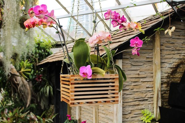 Quelles fleurs choisir pour une décoration printanière ?